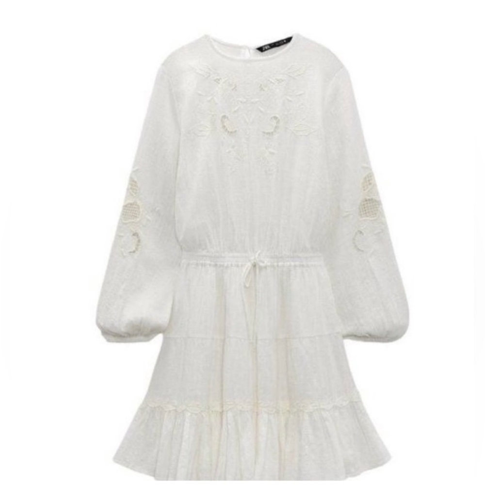 Zara Embroidered Mini Dress